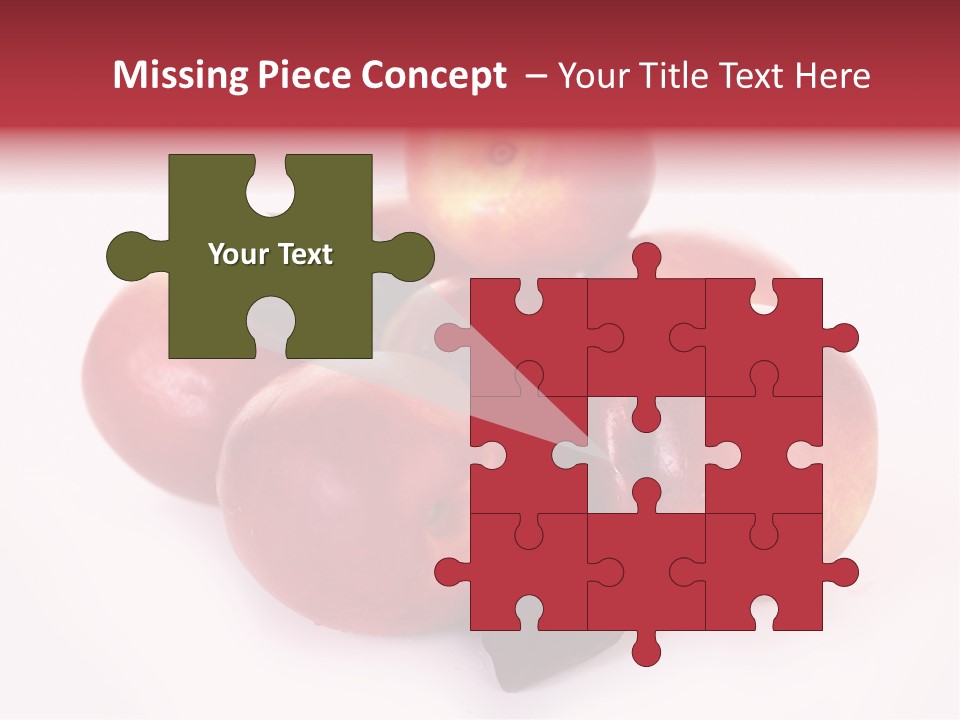 Macro Fresh Circle PowerPoint Template