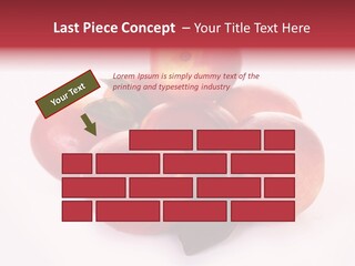 Macro Fresh Circle PowerPoint Template