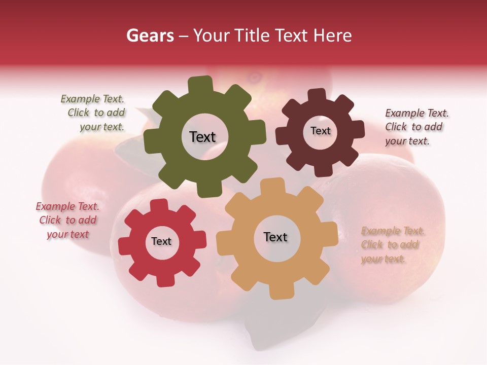 Macro Fresh Circle PowerPoint Template