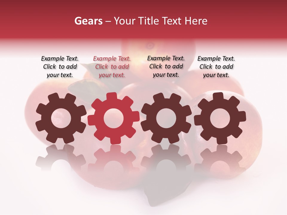 Macro Fresh Circle PowerPoint Template