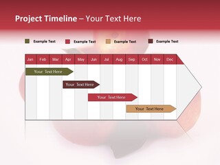 Macro Fresh Circle PowerPoint Template