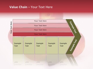 Macro Fresh Circle PowerPoint Template