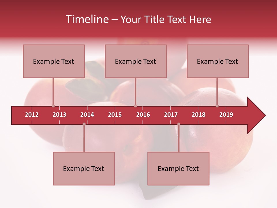 Macro Fresh Circle PowerPoint Template