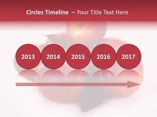 Macro Fresh Circle PowerPoint Template