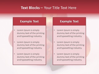 Macro Fresh Circle PowerPoint Template