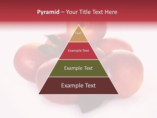 Macro Fresh Circle PowerPoint Template