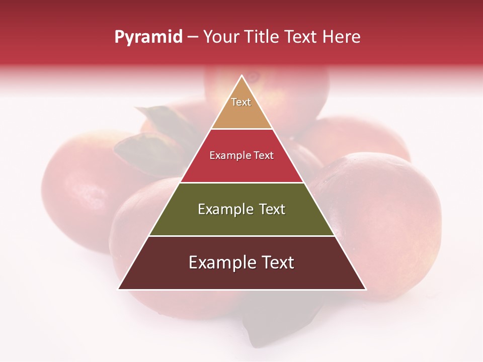 Macro Fresh Circle PowerPoint Template