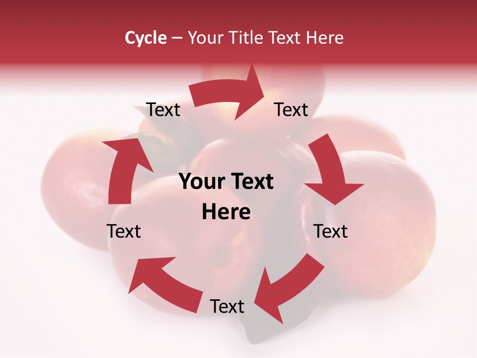 Macro Fresh Circle PowerPoint Template