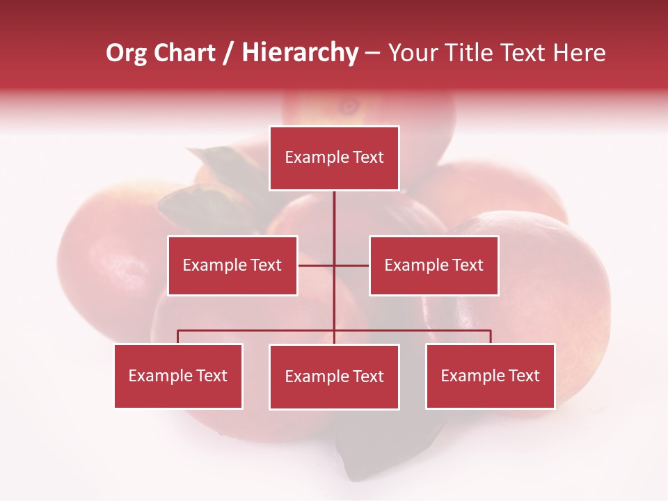 Macro Fresh Circle PowerPoint Template