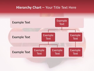 Macro Fresh Circle PowerPoint Template