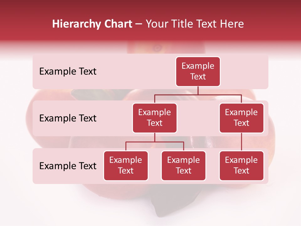 Macro Fresh Circle PowerPoint Template