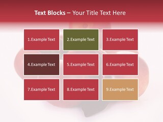 Macro Fresh Circle PowerPoint Template