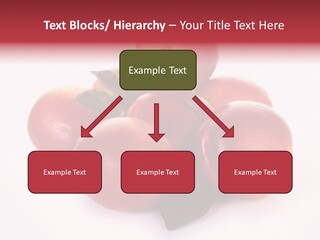 Macro Fresh Circle PowerPoint Template