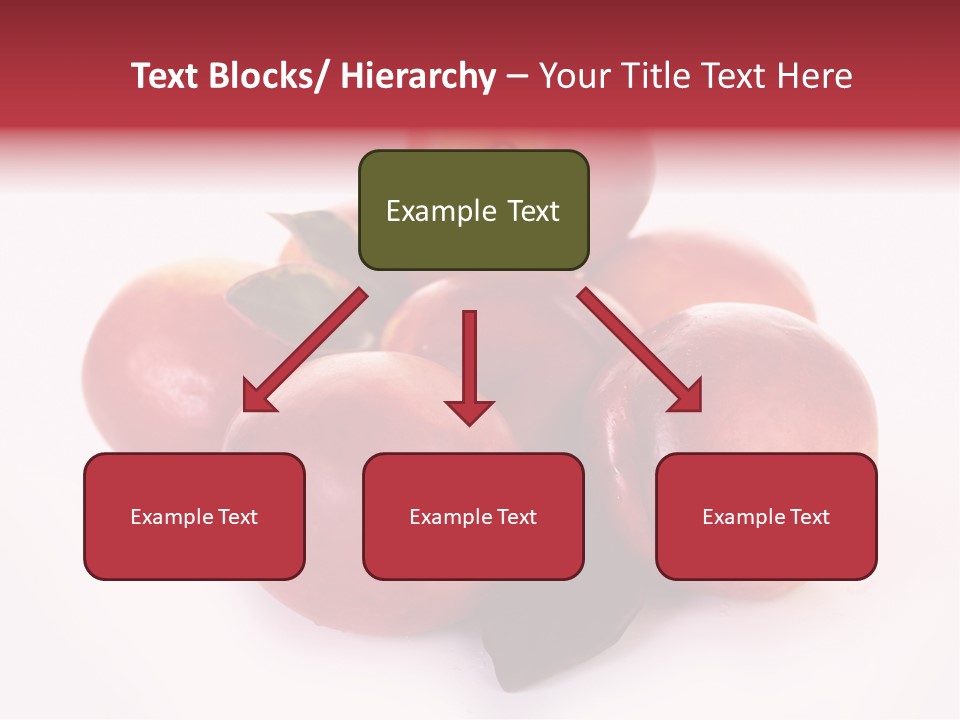Macro Fresh Circle PowerPoint Template