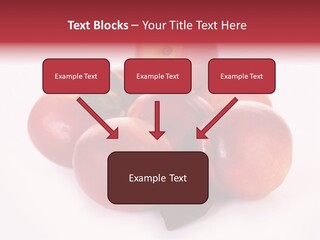 Macro Fresh Circle PowerPoint Template