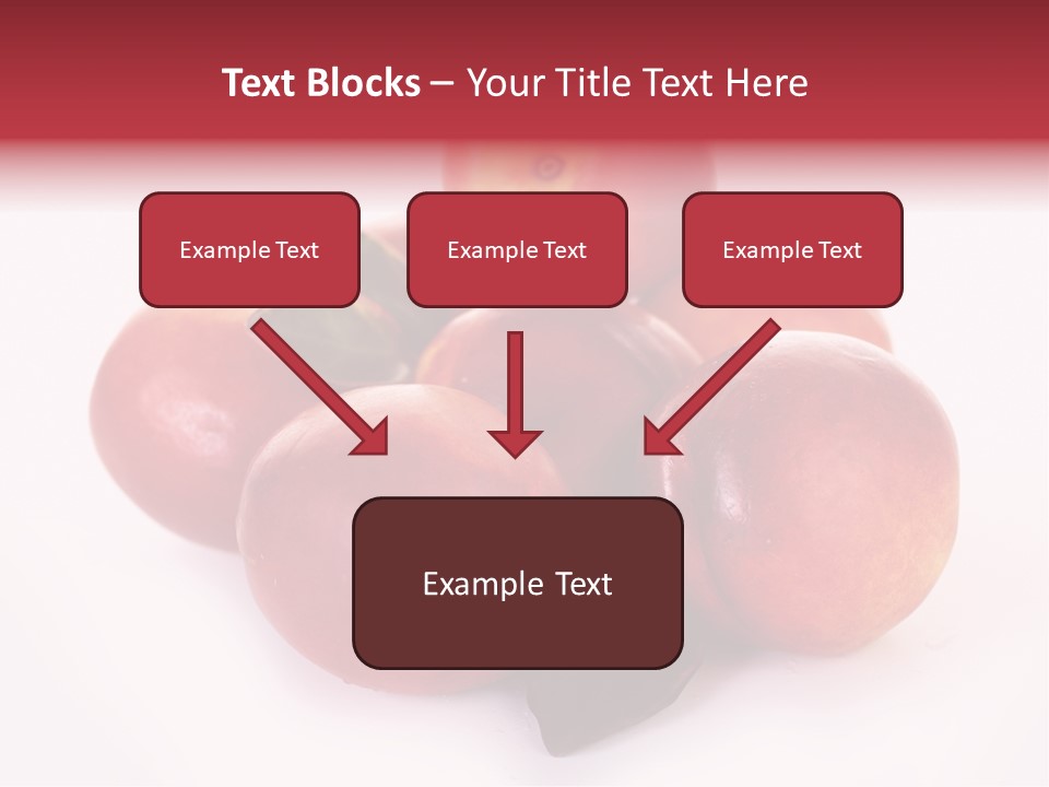 Macro Fresh Circle PowerPoint Template