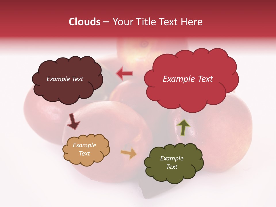 Macro Fresh Circle PowerPoint Template