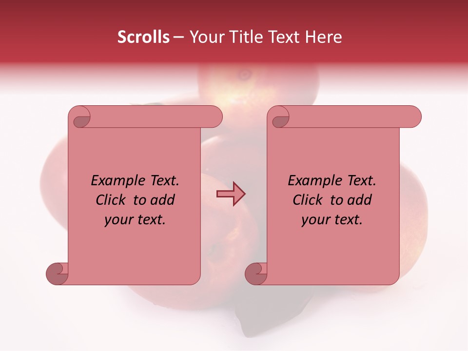 Macro Fresh Circle PowerPoint Template