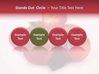 Macro Fresh Circle PowerPoint Template