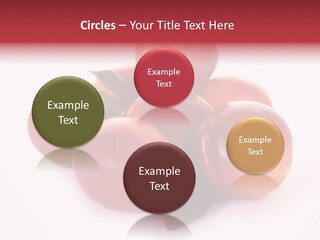 Macro Fresh Circle PowerPoint Template