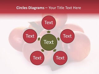 Macro Fresh Circle PowerPoint Template