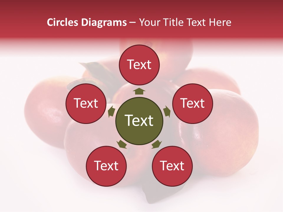 Macro Fresh Circle PowerPoint Template