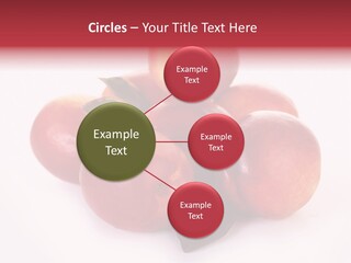 Macro Fresh Circle PowerPoint Template