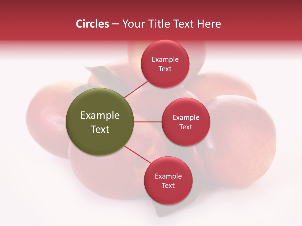 Macro Fresh Circle PowerPoint Template