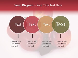 Macro Fresh Circle PowerPoint Template