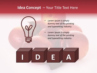 Macro Fresh Circle PowerPoint Template