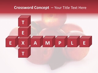 Macro Fresh Circle PowerPoint Template