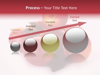 Macro Fresh Circle PowerPoint Template