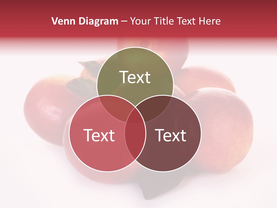 Macro Fresh Circle PowerPoint Template