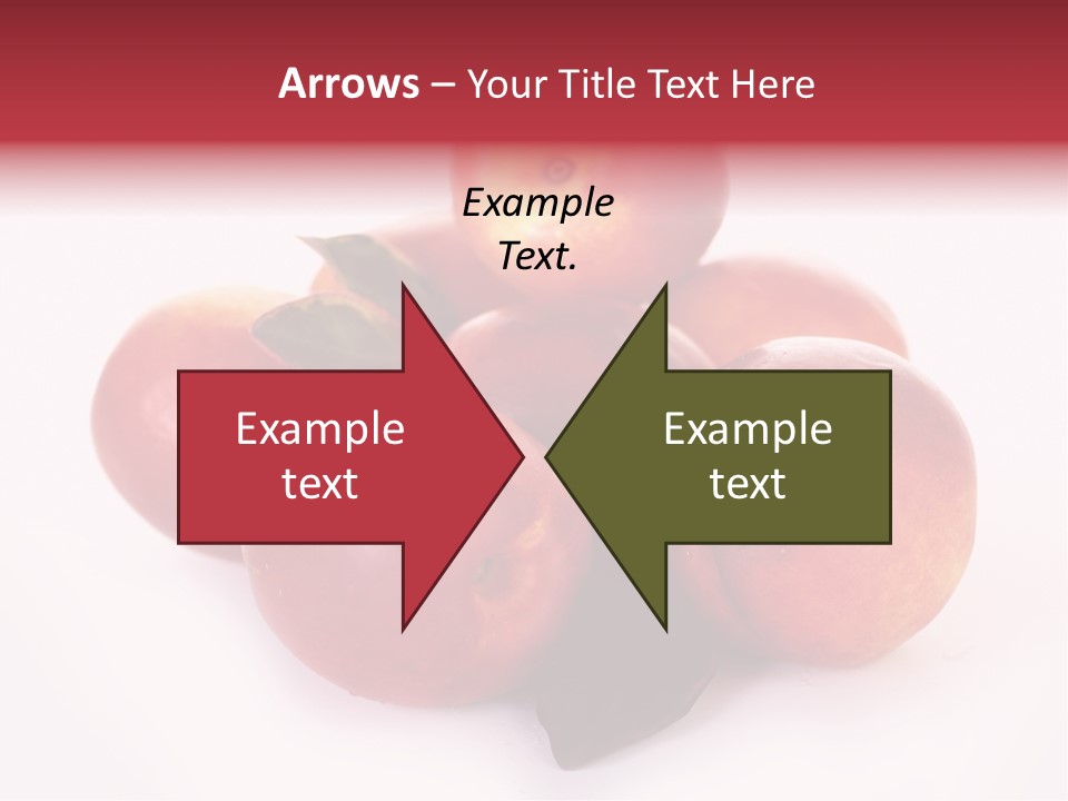 Macro Fresh Circle PowerPoint Template