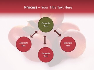 Macro Fresh Circle PowerPoint Template