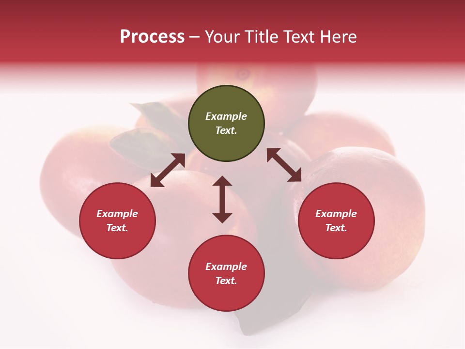 Macro Fresh Circle PowerPoint Template