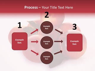 Macro Fresh Circle PowerPoint Template