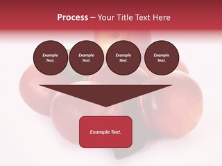 Macro Fresh Circle PowerPoint Template