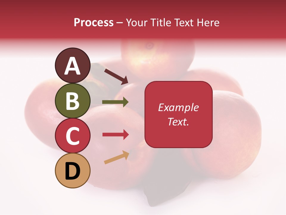 Macro Fresh Circle PowerPoint Template