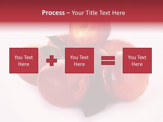 Macro Fresh Circle PowerPoint Template