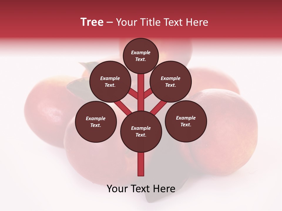 Macro Fresh Circle PowerPoint Template