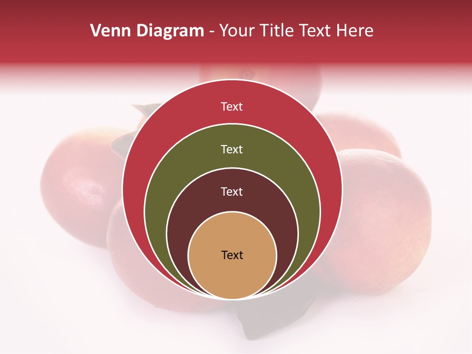 Macro Fresh Circle PowerPoint Template