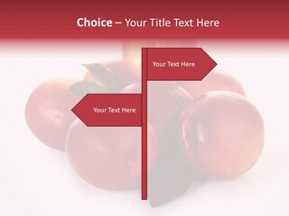 Macro Fresh Circle PowerPoint Template