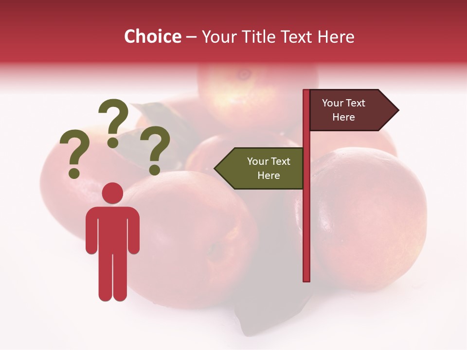 Macro Fresh Circle PowerPoint Template