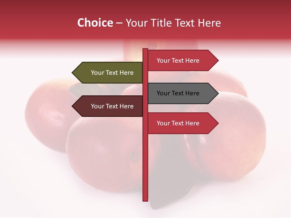 Macro Fresh Circle PowerPoint Template