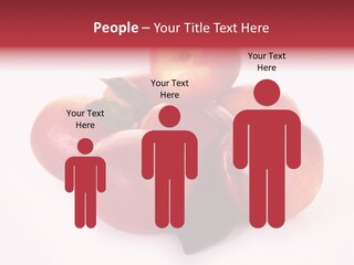 Macro Fresh Circle PowerPoint Template