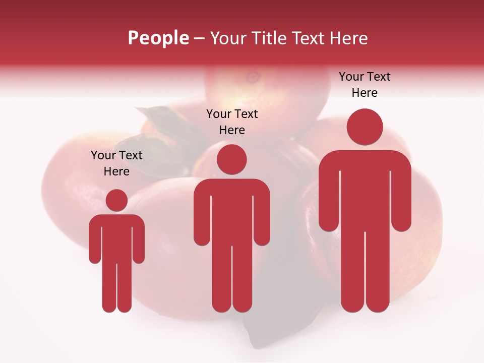 Macro Fresh Circle PowerPoint Template