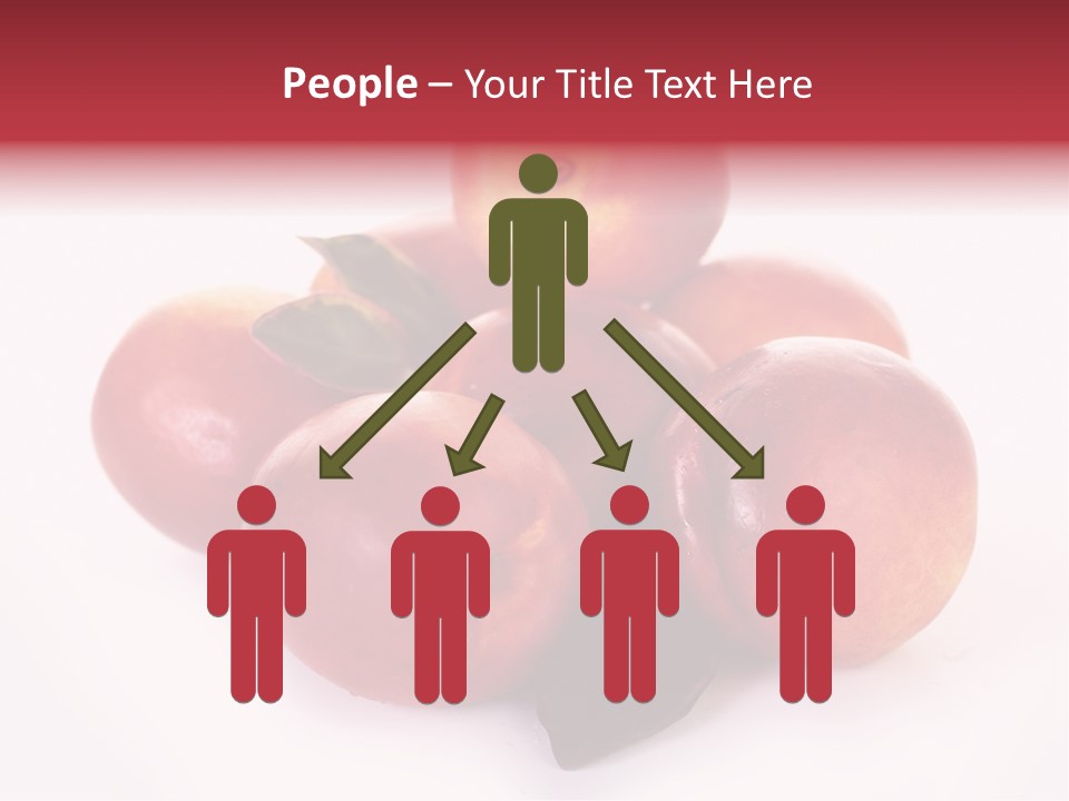 Macro Fresh Circle PowerPoint Template