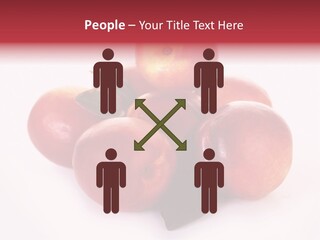 Macro Fresh Circle PowerPoint Template