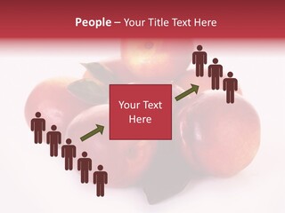 Macro Fresh Circle PowerPoint Template